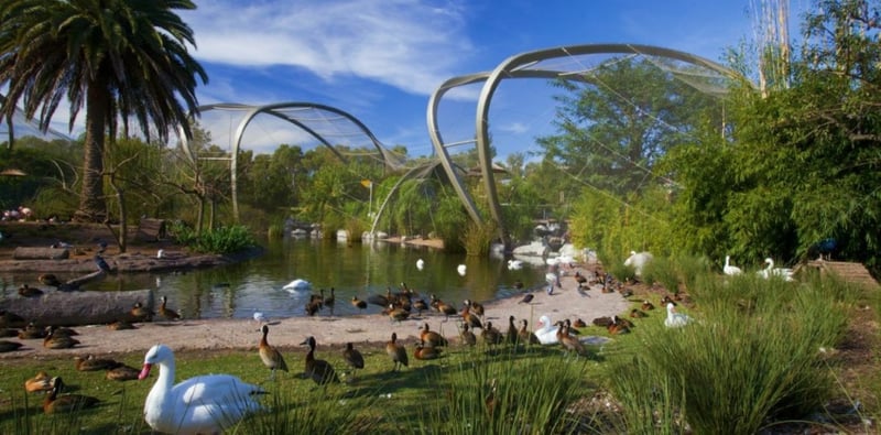 Temaiken Zoo